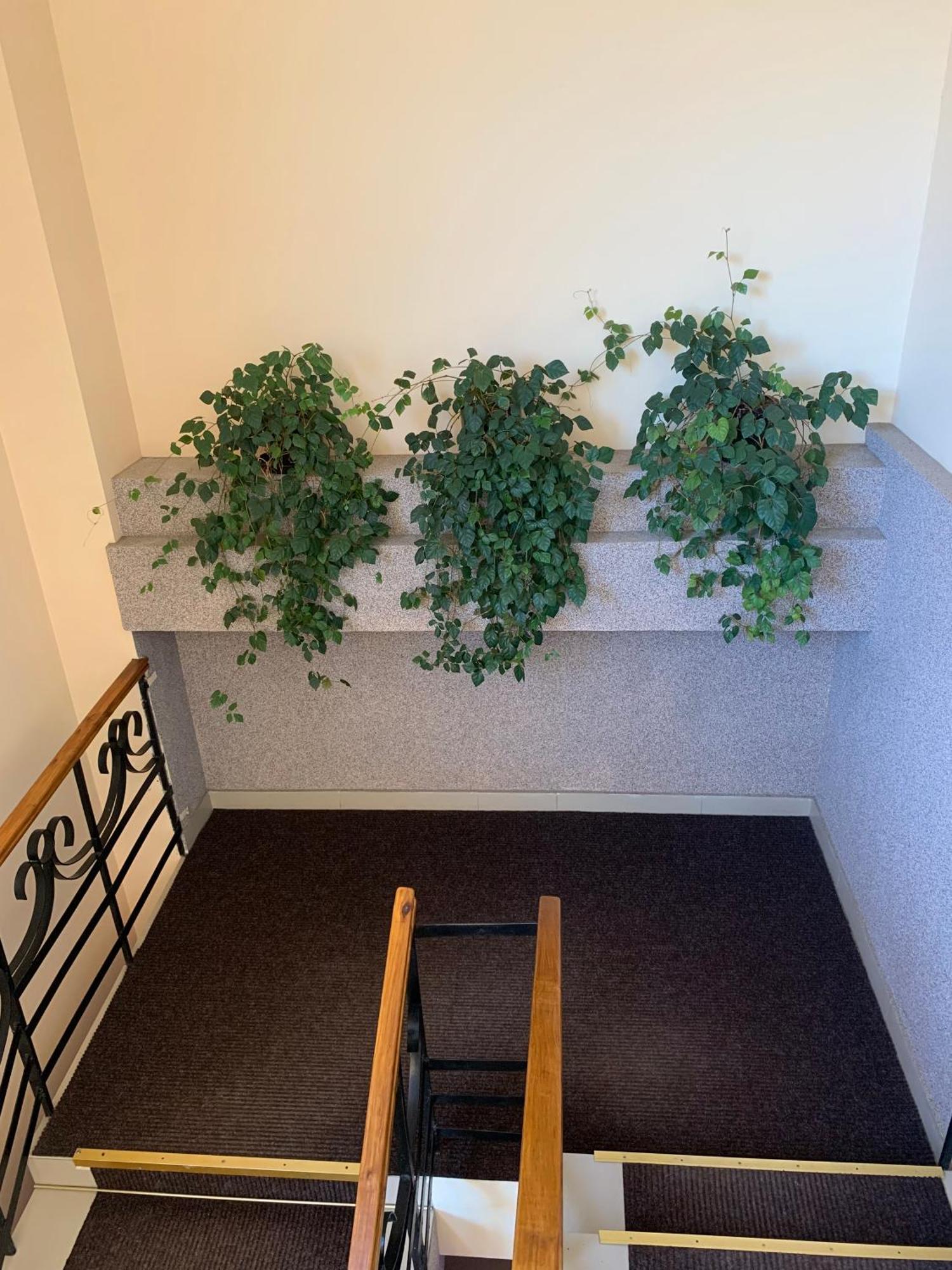 Hostel Iskra 利沃夫 外观 照片